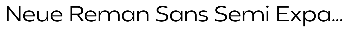 Neue Reman Sans Semi Expanded image